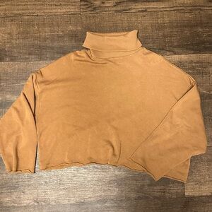 American Eagle Brown Turtleneck Crop